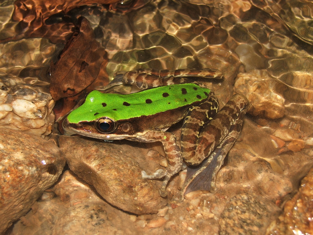 Image 4